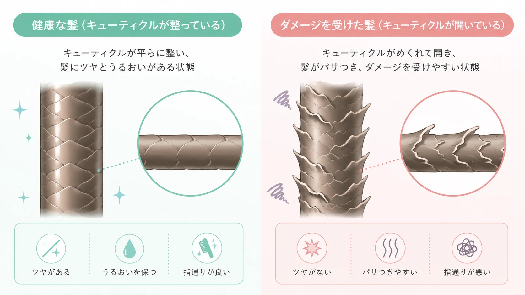 健康なキューティクルとダメージを受けて開いたキューティクルの比較イラスト
